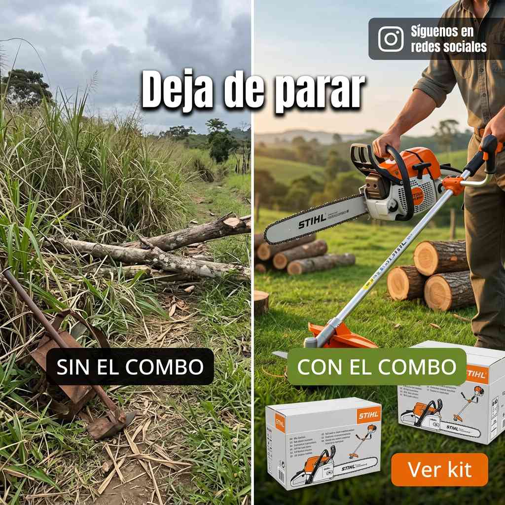 TUMBA MALEZA Y TRONCOS EN UN SOLO PEDIDO — COMBO STIHL™ MOTOSIERRA MS 660 Y GUADAÑA FS 450